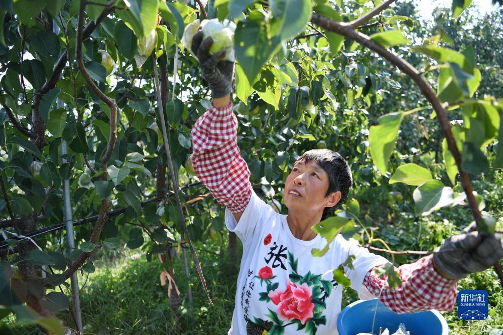微乐斗地主福利码最新